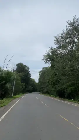 Jalan wks jambi- muara sabak  #feast #nina #vibes #jalanjalan #tanjabtimur #jambi #fypシ #fyp