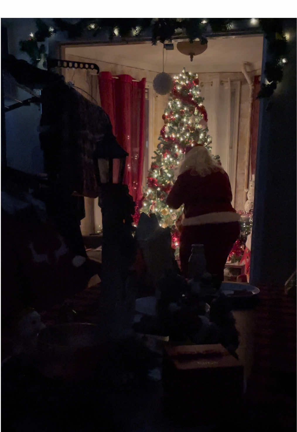 #voliamoneixte✈🦁 #foryoupage #christmas2024🎅🎄 #santaclaus #happykids #everything #formylove