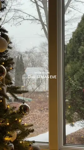One of my favorites 🎁🎄 #newenglandtiktok #winterwhite #christmaseve #christmaseveryday #diml #dayinmylifevlogs 