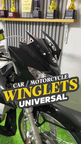 ANGAS TALAGA motor mo NITO🔥🔥 #winglets #streetbikeconcept #carwinglets #motorcyclewinglets 