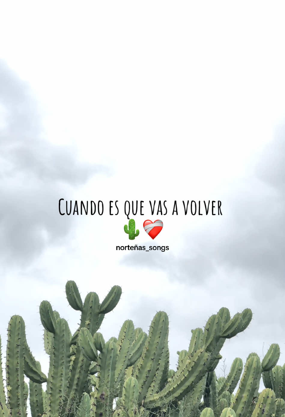 Lagrimas del corazón 🌵❤️‍🩹 @montezdedurango #paratiiiiiiiiiiiiiiiiiiiiiiiiiiiiiii #mexico🇲🇽 #norteñasconsax🎷 #norteñosax🎷 #norteñas #norteñas2024 #🌵 #cancionesparahistorias #norteñas_songs #cancionesparadedicar #norteñassongs #norteñasnuevas #norteñasvirales #fypシ゚ #2024 #lagrimasdelcorazon #montezdedurango #montezdedurangolyrics #duranguense 