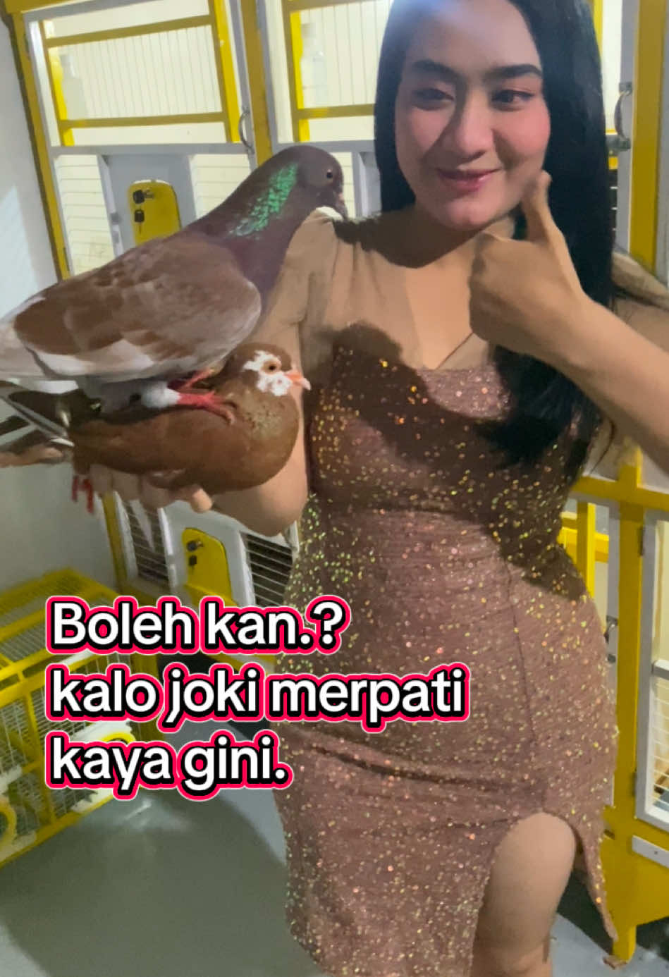 #merpatikolong #lucu #biduan #merpatiindonesia #merpatilovers #merpatibalapindonesia #merpatikenwood 