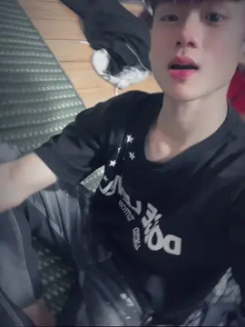 #_vanvinh #xuhuong #xuhuongtiktok 