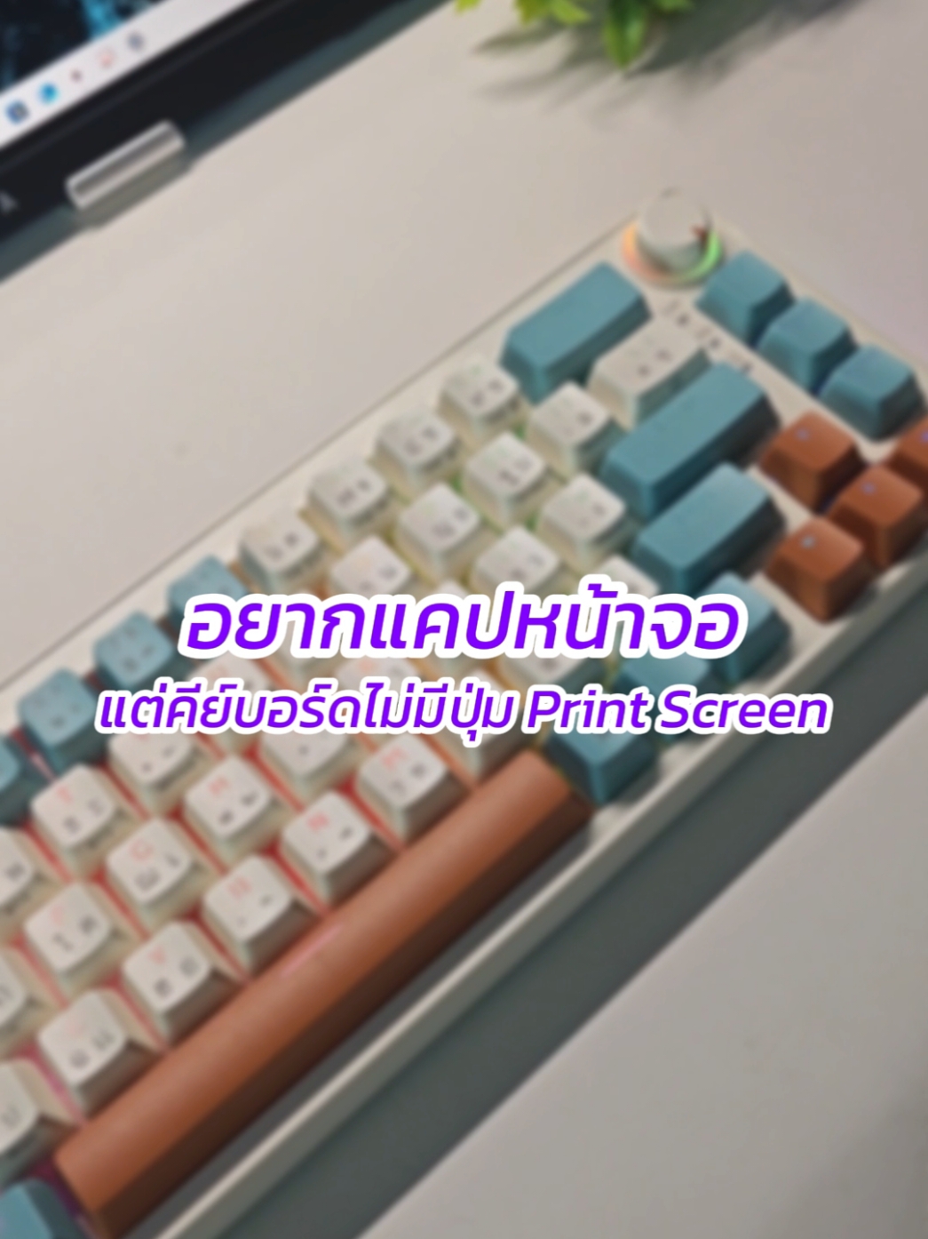 😈สอนวิธีแคปหน้าจอ สำหรับ Keyboard ที่ไม่มีปุ่ม Print screen ✨🎄🧑‍🎄🚀 #pctrick #สอนแคปหน้าจอpc #desksetup 