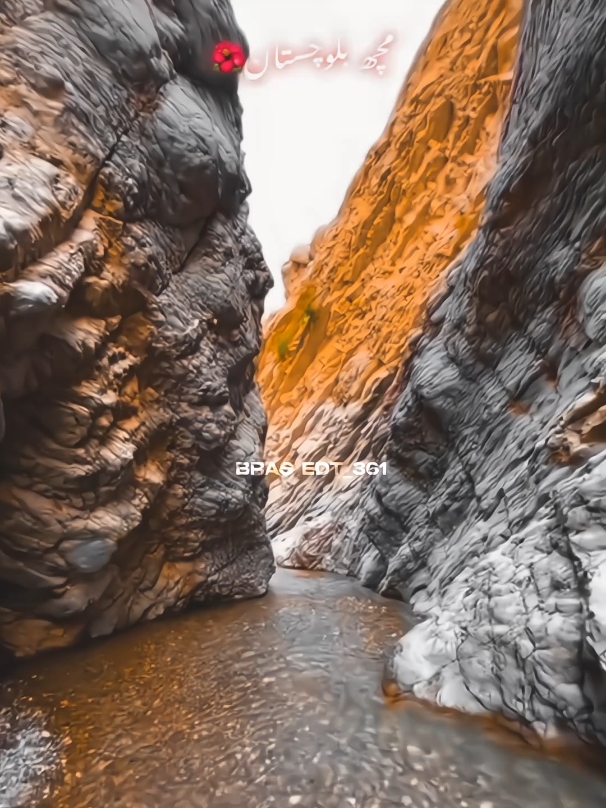 𝐁𝐚𝐥𝐨𝐜𝐡+𝐏𝐚𝐭𝐡𝐚𝐧#grow #Fyp #foryourpage #balochistan 