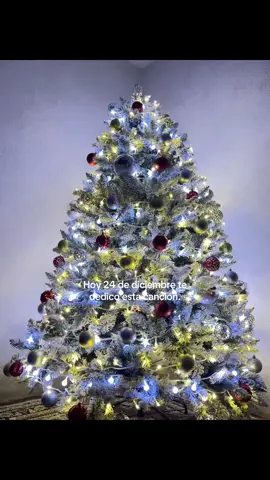 #fyp #24dediciembre #plantilla #viral_video #paratiiiiiiiiiiiiiiiiiiiiiiiiiiiiiii #2024 #2025future #fypシ゚ #navidad #vairal 
