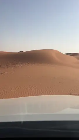 الله يهدي المصور الزاويه ماش  #هواجيس #تطعيس #بر #نفود #الدلم 