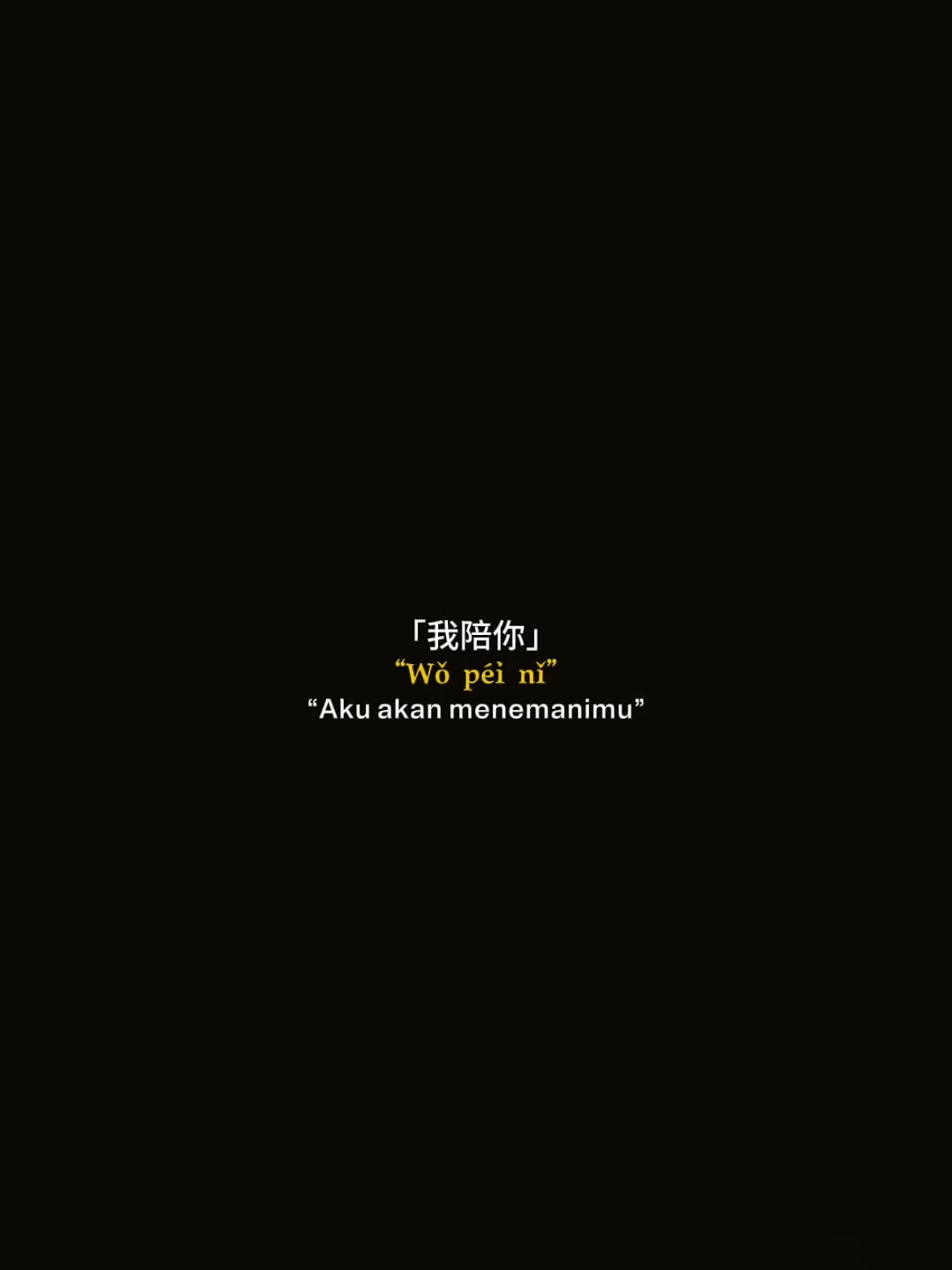 #CapCut #quotesmandarin #chinese #sabeytemplate 