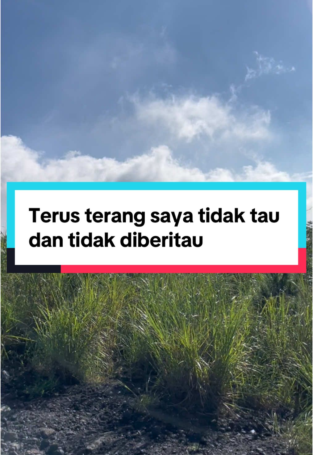 Statement ter epic 2024