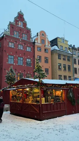 Merry Christmas! 🎄🎁 #sweden #scandinavia #chriatmasinstockholm #christmasineurope #stockholm #stockholm🇸🇪 #sweden🇸🇪 