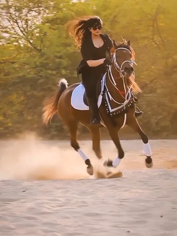 #عقاقير_ساهرية #استفزيني #خيول  #كاظم_الساهر #kadimalsahir   #موسيقى_فقط #خيالة #موسيقى  #كاظم_الساهر_استفزيني #خيول_عربية_اصيلة  #فروسية 