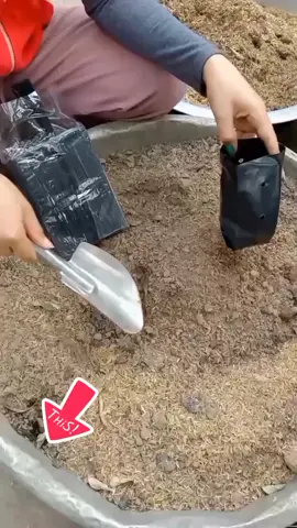 ช้อนสแตนเลส#เป็นทั่วขนาดเล็ก #เป็นสแตนเลสทั้งอัน #ไม่กินขี้สนิม #ใช้ได้นานทนทานแข็งแรง #เหมาะสำหรับเอาไว้ปลูกต้นไม้ #ใช้ได้จริง#tiktokshopครีเอเตอร์ 