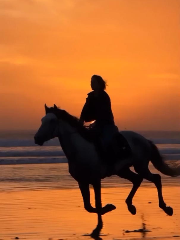 #عقاقير_موسيقيه  #والله_واحشني_موت  #ماجد_المهندس #خيول_عربيه  #موسيقى_فقط #موسيقى #خياله 