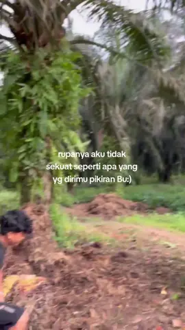 walah abot cik🗿#fypシ #bismillahfypシ #strorysawit #sawitkalimantan #xyzbca #muatsawit 