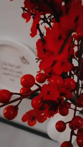 وين لو شمسك تجيني يابو صالح  #اكسبلور#مهدوي 