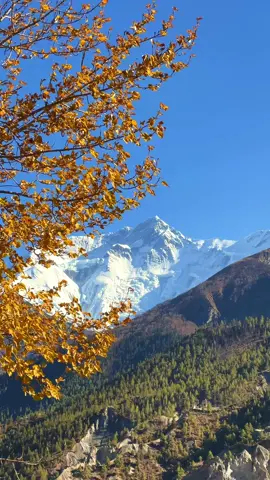 Hawa ko lahar sangaii ❤️ #nepal #mountains #manang 