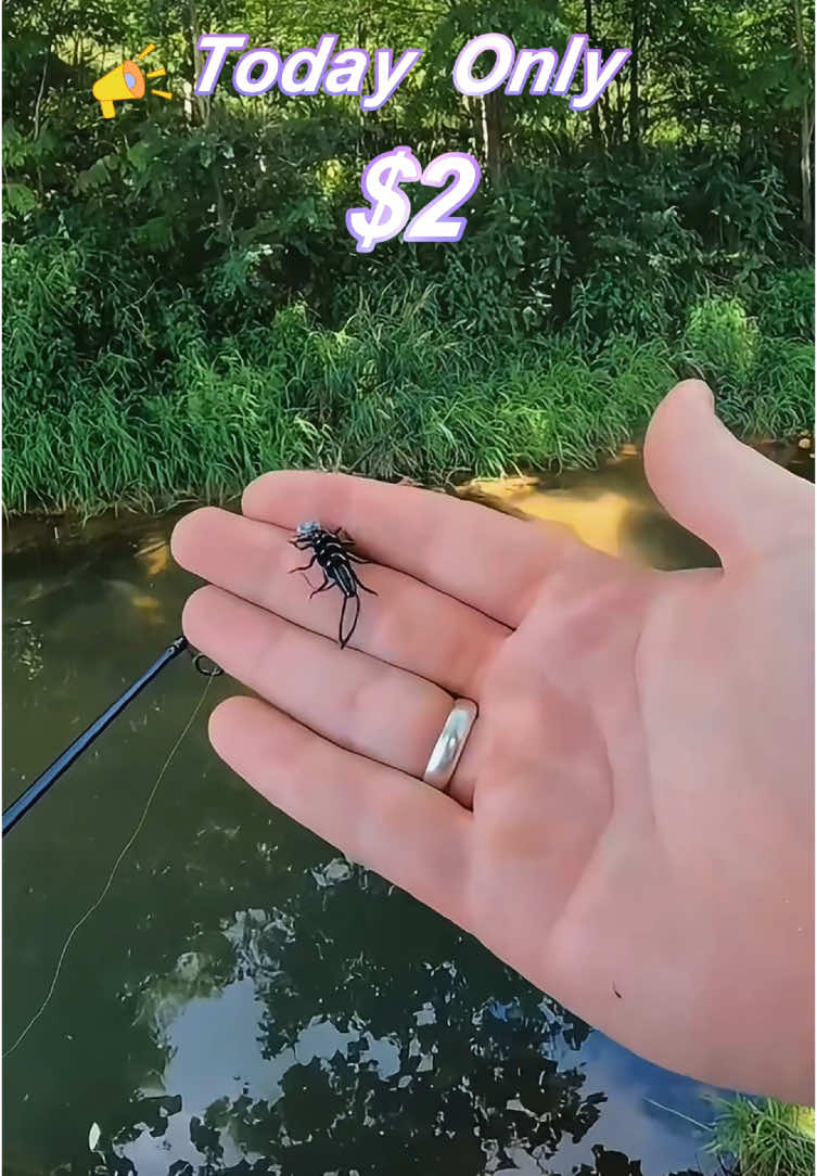 #jesus #nrvbaits #fishtok #trout #fish #bigfish #rainbowtrout #lurefishing #fyp #fypシ #tiktokshop #shopping  #SmallBusiness #Outdoors #catchandrelease #contentcreator #softplastics #hellbendernets #spinningreel #fishing #troutfishing #fyp #foryou #foryoupage #viralvideo #foryourpage #TikTokShop #viraltiktok 