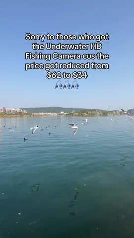 You can clearly see the bottom of the water!