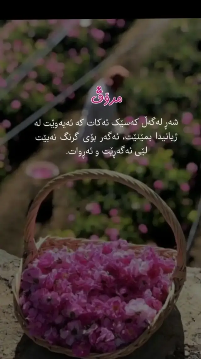 #fyp #foryou #foryoupage #ئەکتیڤبن 