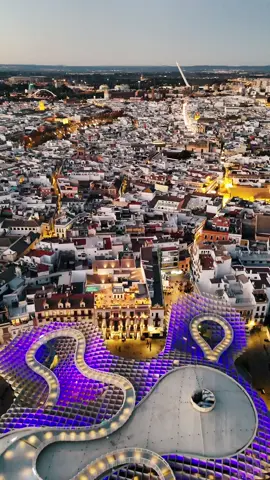 Setas de Sevilla durante la Nochebuena! #seville #spain #setasdesevilla #andalucia 