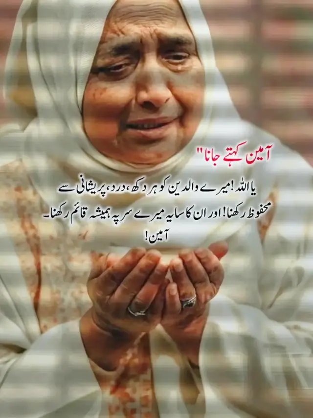 #foryoupageofficiall #vira#inst #ree #fypppppp #pls #supp #unfre #acoun #drsfkhan #deartiktokteam #1millionvie #plsviral #plsgovial #