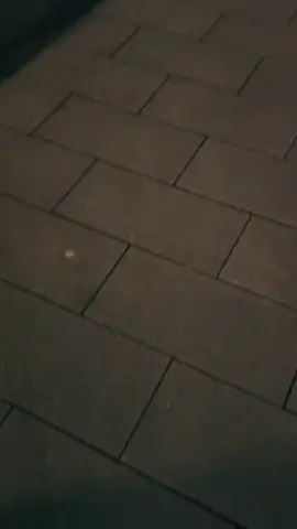 @Pedram @GRAY #urus #lamborghini #hamburg #carspotting #carspotter 