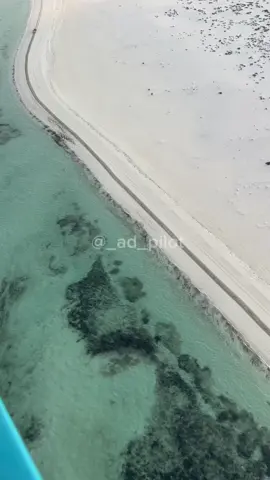 وهم لاخاصموا فرسان،، وإليا سالموا فرسان #ال_نهيان 