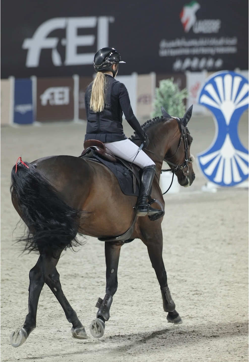 CSI1* top 12 out of 97 in Al forsan photos posted on ig 💕#foryoupage #equestrian #fyp #showjumping #relatable #viral #explore #Love #follow #germany #uae #world #horse #fy #samsheild #eq #horseriding #fypシ #horsesoftiktok #horsetok #foryou #foru #competition 