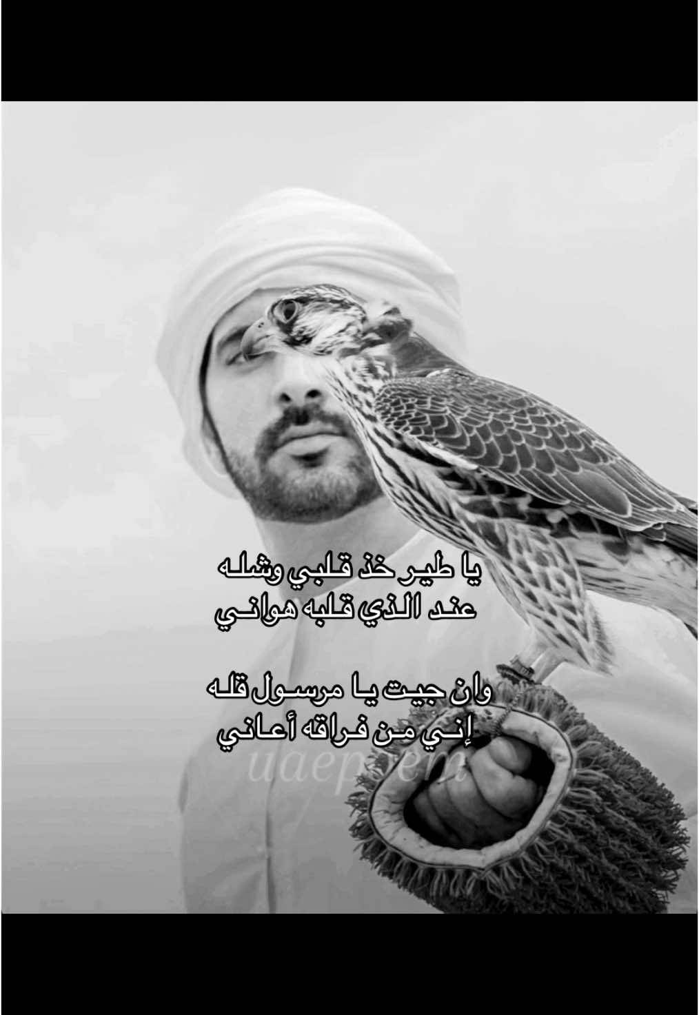 #الشيخ_حمدان #الامارات #🌷🌷 