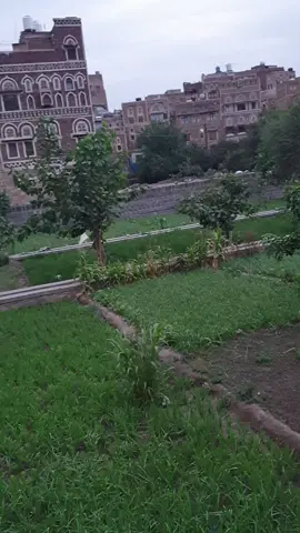 باقي اسبوع على #السنة_الجديدة 🥳💃🏻لمن تهدوا هذا الفيديو؟؟😍 اعملوا #منشن #اهداء #ريبوست #اعادة_نشر #صنعاء #صنعاء_روحي #اليمن #اكسبلور #explore 