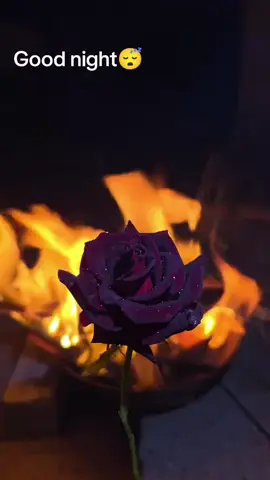#viral #fyp #fyptiktok 