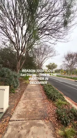 not too cold so i can still run in shorts 💗✨ #sandiego #socal #socallife 