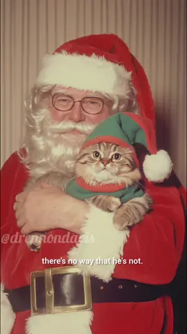 Just a theory. Prove us wrong. Btw, this song and all of our holiday songs are on patreon on Lobster Doug's Holiday Playlist🦞♥️#happyholidays #santa #christmas #catdad #funnycat #weird #lobsterdoug
