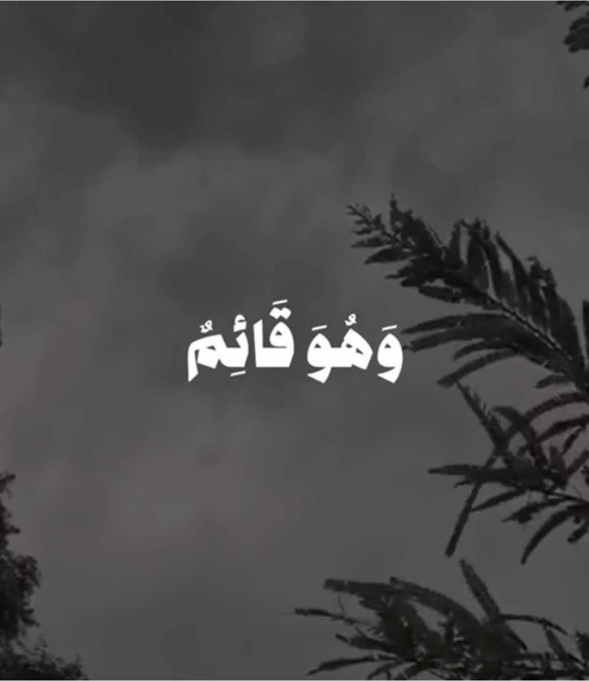 ان الله يبشرك 🤍|| علي جابر || حساب القران انستا بالبايو فيه شرح التصميم وأسامي جميع الخطوط  #قران #quran 