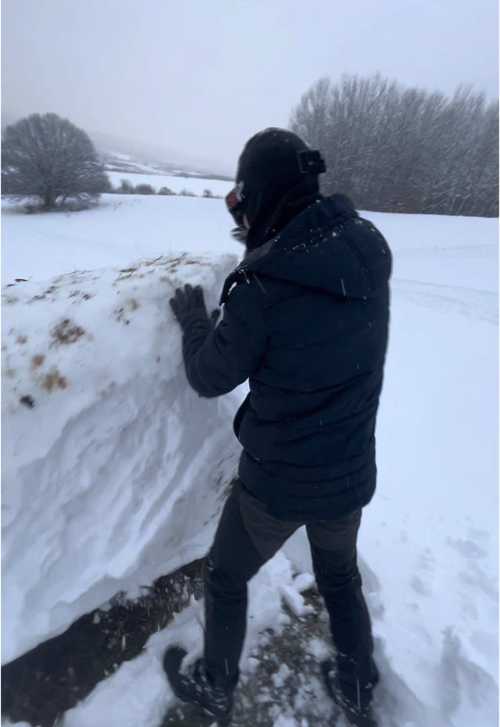 vesela koleda #fyp #foryoupagе #snow #stmoritz 