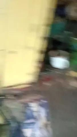 #tangguh 