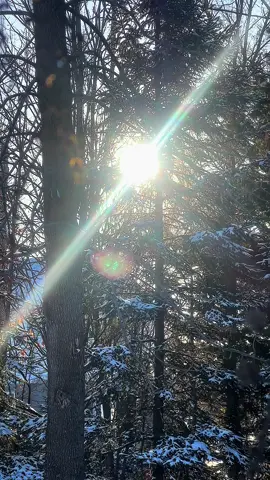 Pretty in the snow ❤️#honda #dirtbike #crf250r #crf #blowup #fypageシ #viral_video #daily_dirtbike_edit #dirtbikeedit 