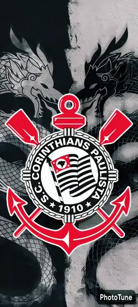 HINO DO CORINTHIANS - SALVE O CORINTHIANS, O CAMPEÃO DOS CAMPEÕES! ✨️ #hinodocorinthians #timao #torcidatiktok 