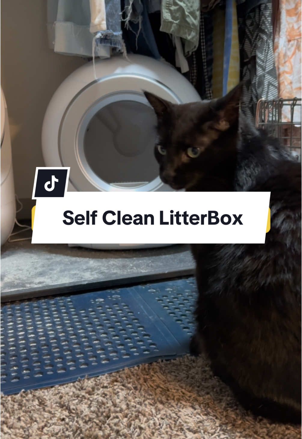 Self Cleaning Litter Box! Perfect Robotic Litter Box to start the new year staying away from the cats 💩  @Petserve  #selfcleaninglitterbox #litterbox #litter #catlover #catsoftiktok #catlitter #catlitterbox #newyearnewyou 