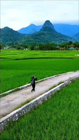 Bantar kuning cariu bogor #bantarkuning #cariu #bogor 