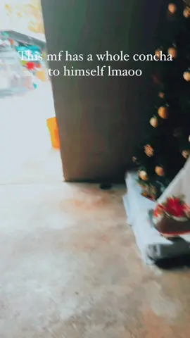 That’s chapo everybody #parrotsoftiktok #conchatok #bird #funny #mood #christmas #food #vibing 