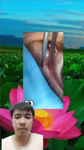 satisfying video #satisfying #satisfyingvideo #cleaning #trends #viral_video #fyp