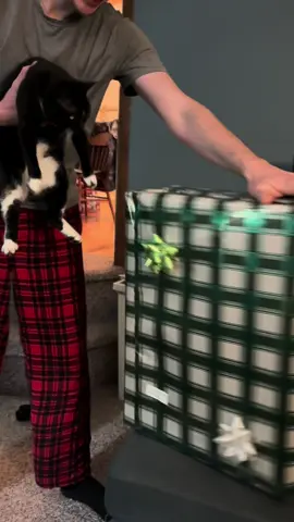 My cat helping my boyfriend open is present Christmas morning 🤣 #cat #kitty #kittycat #tuxedocat #christmas #christmasmorning #funnymoments #cathelper #meow 