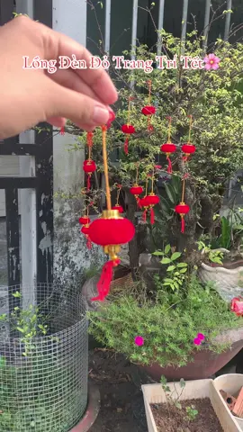 Combo 30 Đèn Lồng Đỏ Cỡ 3-4cm #longdendo #longdentrangtritet #longdentrangtri #longdennho #trangtritet #xuhuong #xuhuongtiktok #viral 