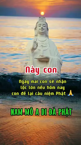 Chúc tất cả hữu duyên thấy nhau ở đây sẽ nhận lộc lớn 🙏 Nam Mô A Di Đà Phật 🙏 #tamhuongphat76 #phatphapnhiemmau #phatphap #adidaphat 