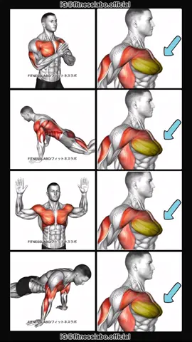 ✅ How to remove chest fat ① Svend Press ② Kneeling Modified Hindu Push-up ③ Pec Fly ④ Reverse Push-up  3 sets 15 reps