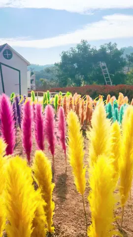 #မောင့်ကေဘယ်လ်ပန်းခြံ #မန္တလေးလာရှိုးလမ်းမိုင်တိုင်၃၃ /၅#အနီးစခန်းလေယျာဉ်ကွင်းတောင်ဘက် #ညံညင်းသာရွာ #ပြင်ဦးလွင် #ပြင်ဦးလွင်မှလည်စရာများ 