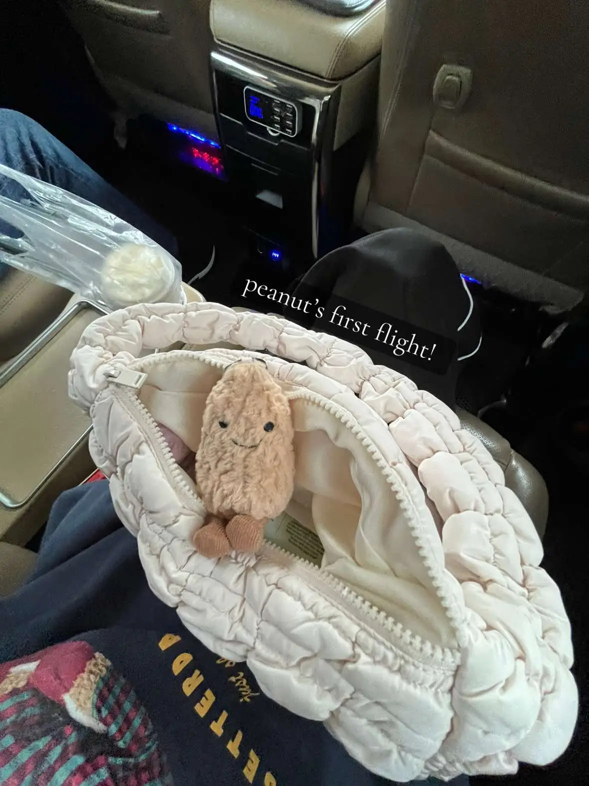 when u finally get ur fav jellycat and now u have attachment issues w it 🥹❤️ #latepost #flight #peanut #jellycat 