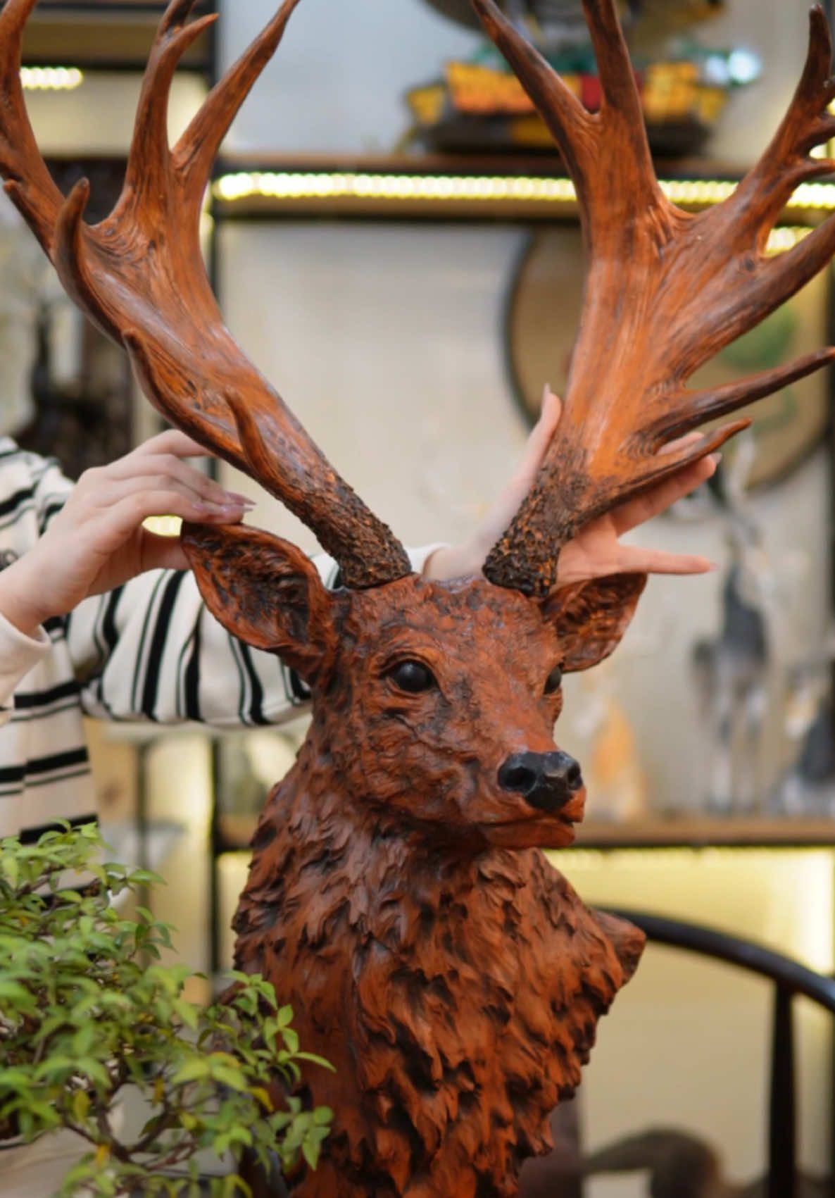 Đầu hươu treo tường