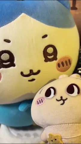 🤣Two dollars. #ちいかわ #chiikawa #usagi #anime #cartoon#nagano#healing#friends#Love#hachiware#cute#cuteness#cutenessoverload#kawaii#kawaiiaethetic#fun#funny#plush#doll#like#happy#friend#plushies#gift#giftidea